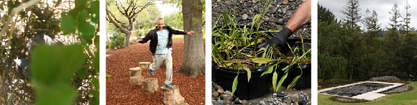 Environmentally Regenerative